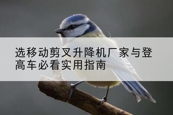 江西电动升降机厂家-选移动剪叉升降机厂家与登高车必看实用指南