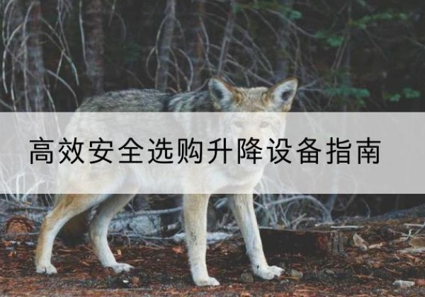 江西升降货梯厂家推荐-*安全选购升降设备指南